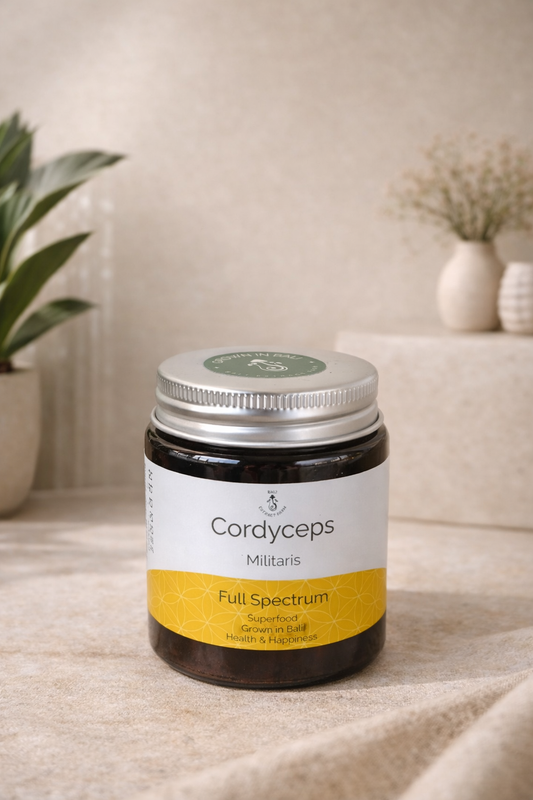 Bali Extract Farm Cordyceps Militaris Jar