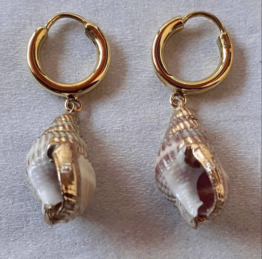 Ray Soleil Resort Shells Earrings