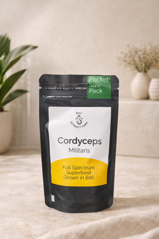 Bali Extract Farm Cordyceps Militaris Sachet