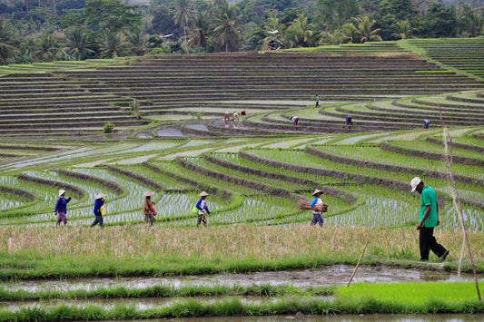 Mark Levitin Photography-Lalalingga Bali