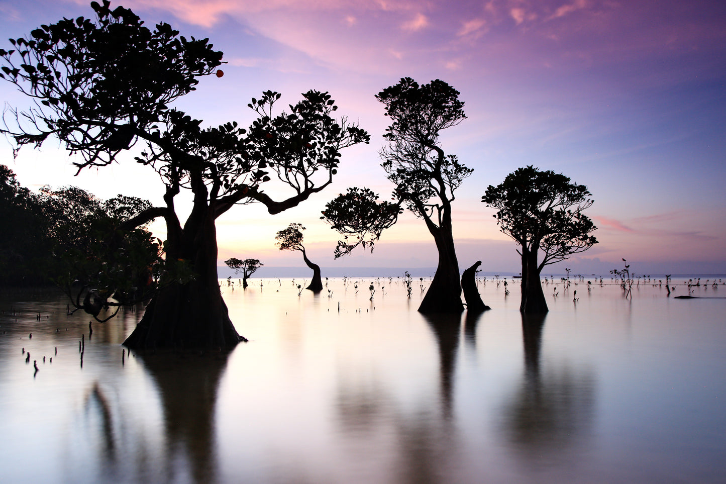 Mark Levintin Photography-Pantai Walakiri