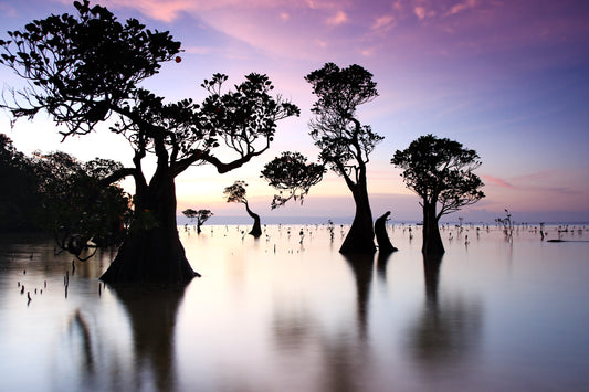 Mark Levintin Photography-Pantai Walakiri