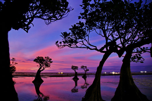 Mark Levintin Photography-Pantai Walakiri 2