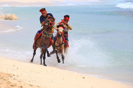 Mark Levintin Photography-Pasola Sumba